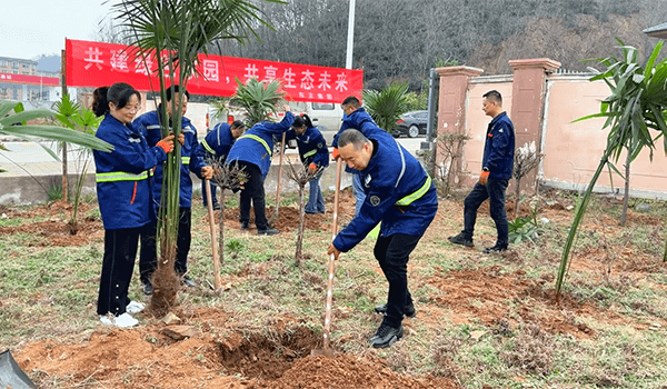 东正集团2025年植树节活动：共建绿色家园，共享生态未来